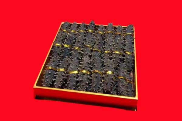 师宗县回收海参.jpg